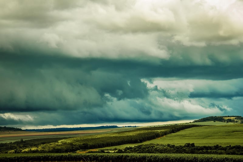 Temporal Causality Rules